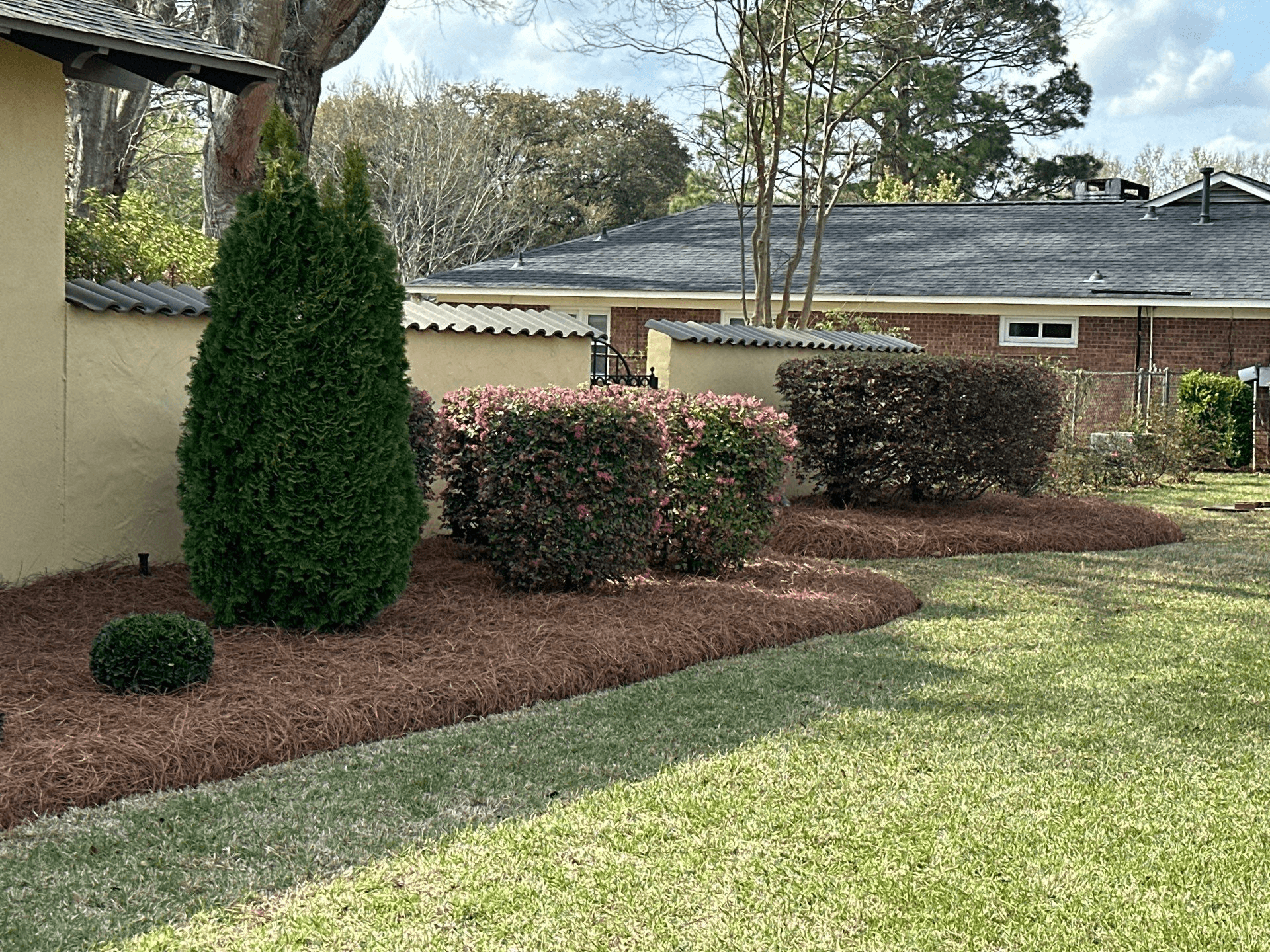 Lawn Maintenance