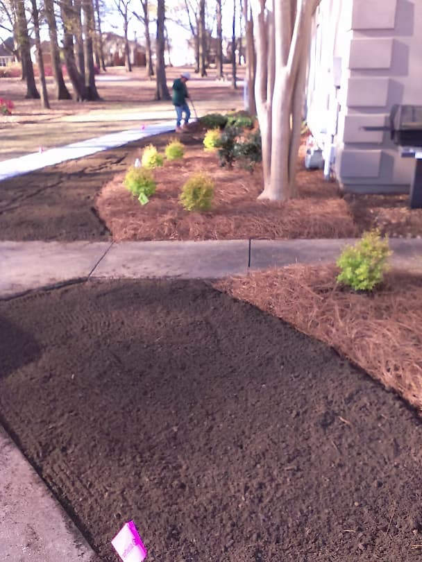 Commercial Landscape 1