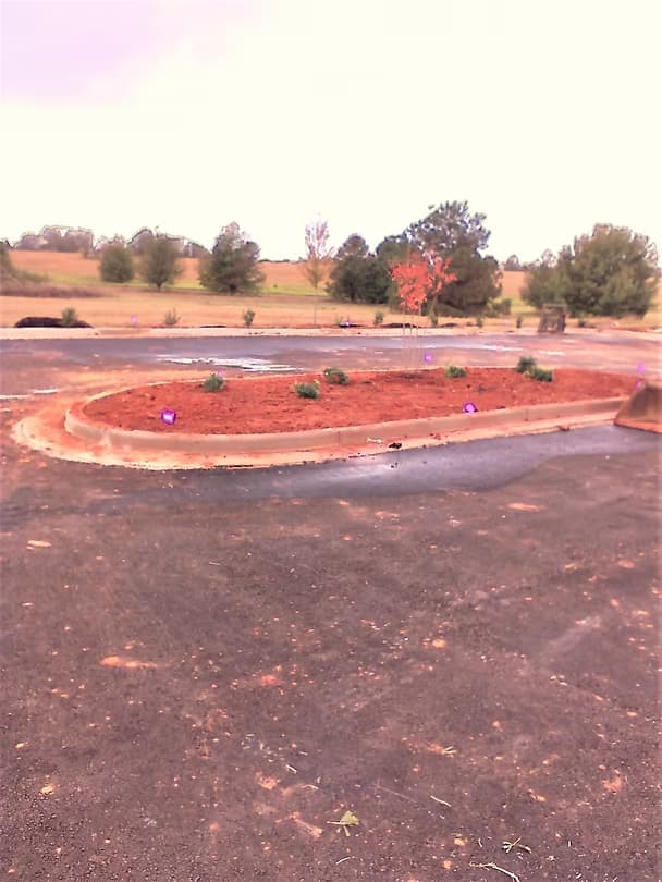 Commercial Landscape 2