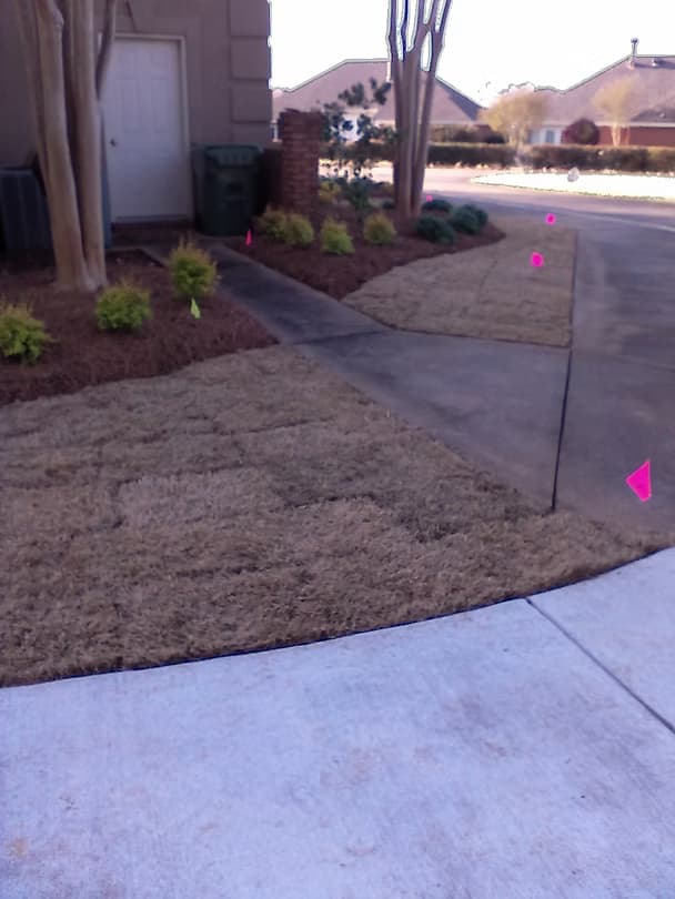 Commercial Landscape 6