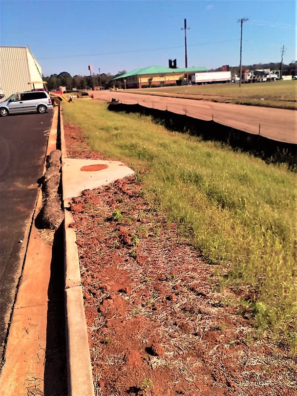 Commercial Landscape 7