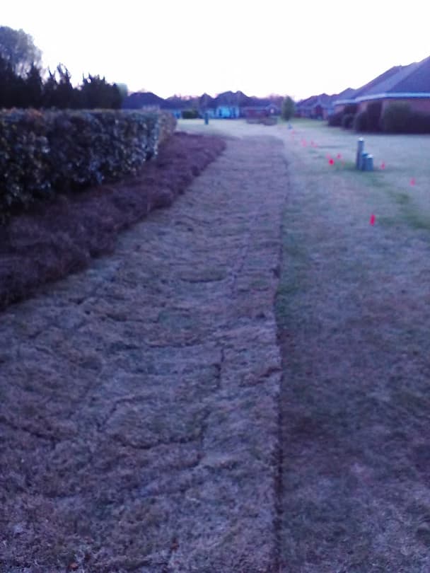 Commercial Landscape 8