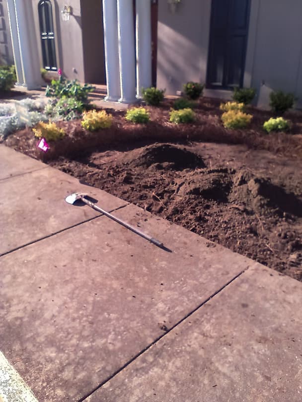 Commercial Landscape 10