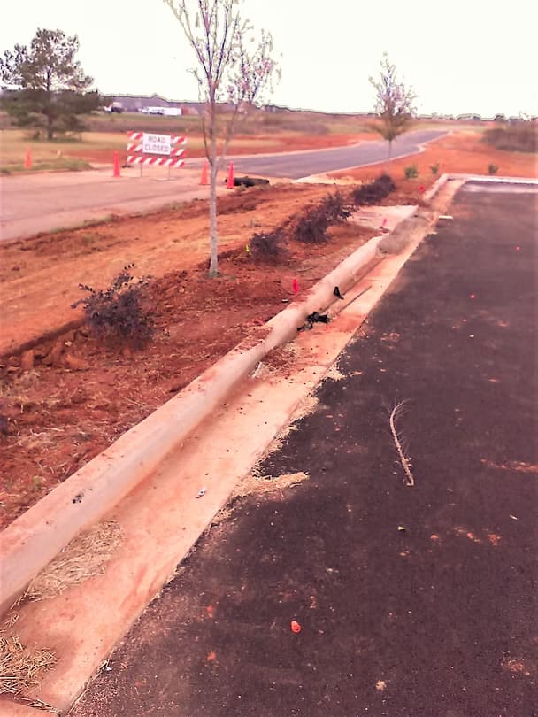 Commercial Landscape 11