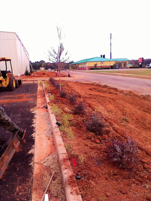 Commercial Landscape 12