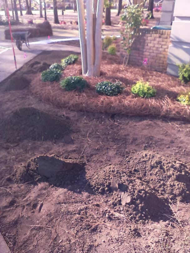 Commercial Landscape 13