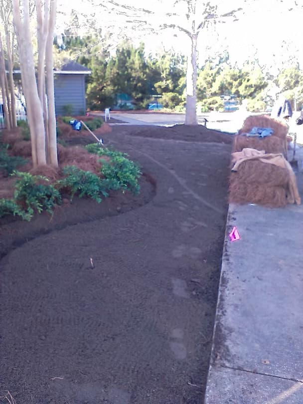 Commercial Landscape 15