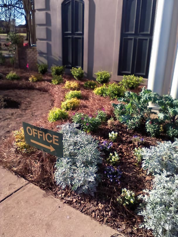 Commercial Landscape 17