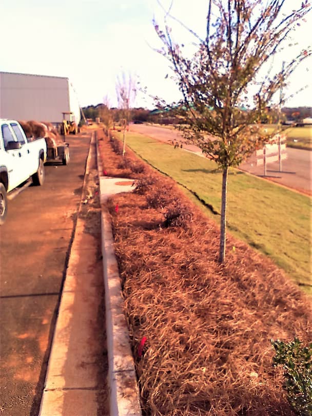 Commercial Landscape 21