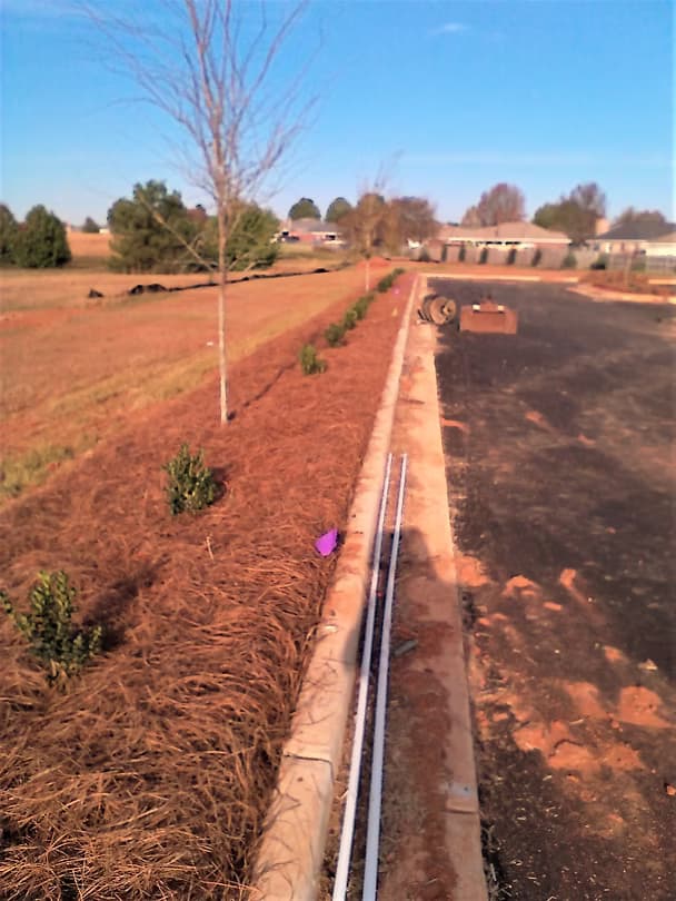 Commercial Landscape 23