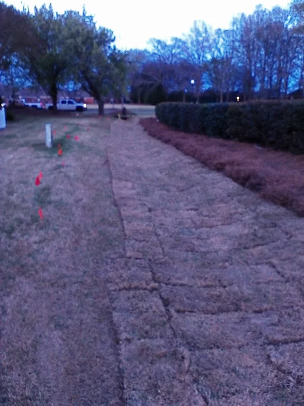 Commercial Landscape 24