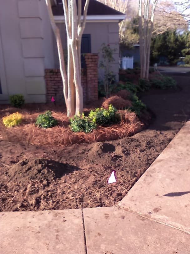 Commercial Landscape 25