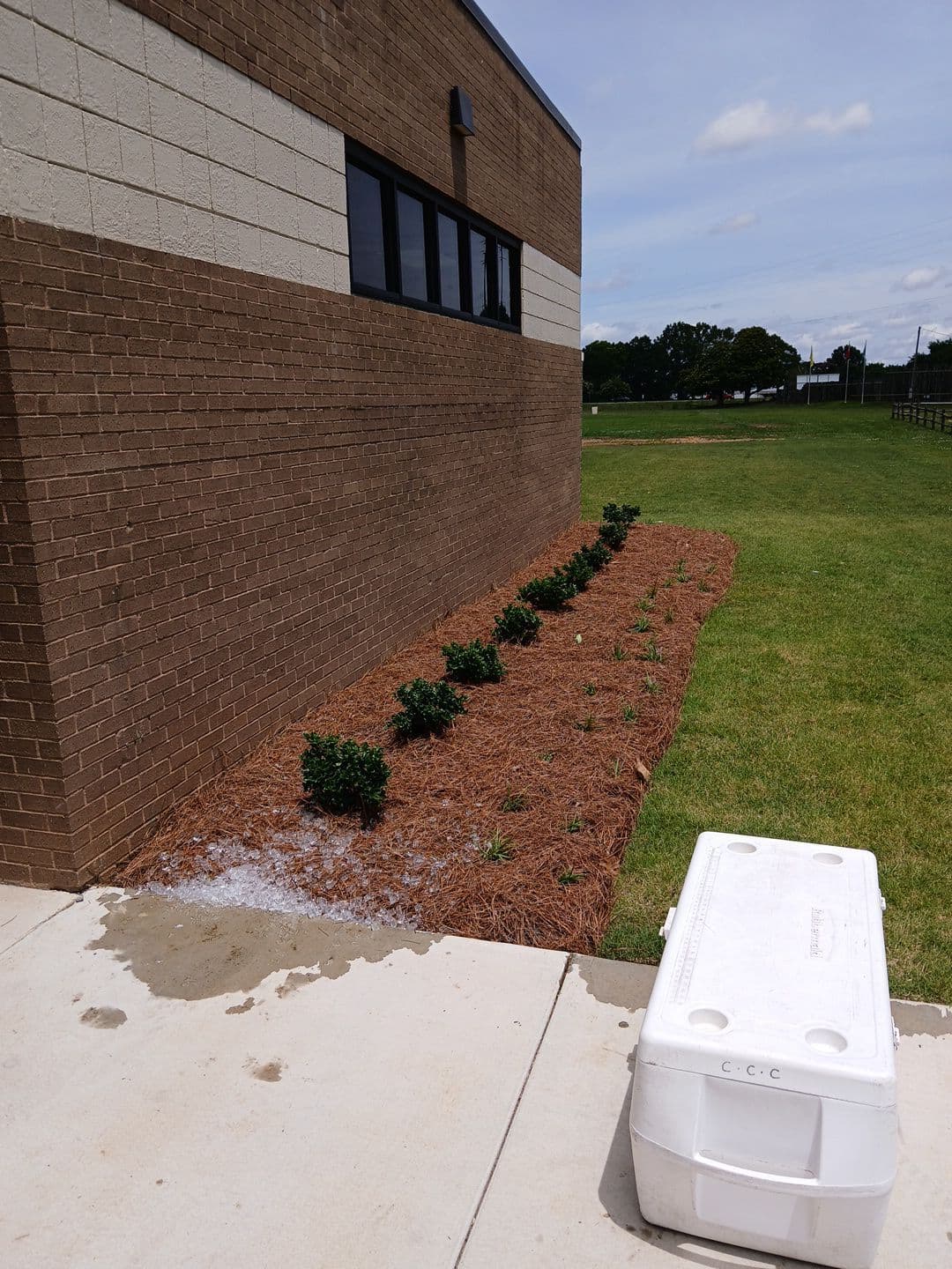 Commercial Projects - 1