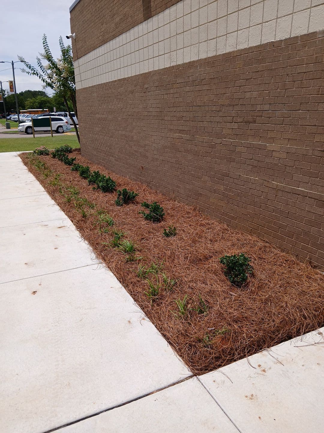 Commercial Projects - 2