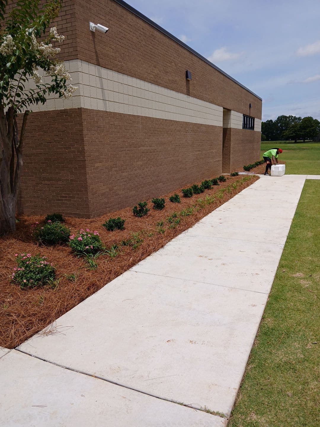 Commercial Projects - 4