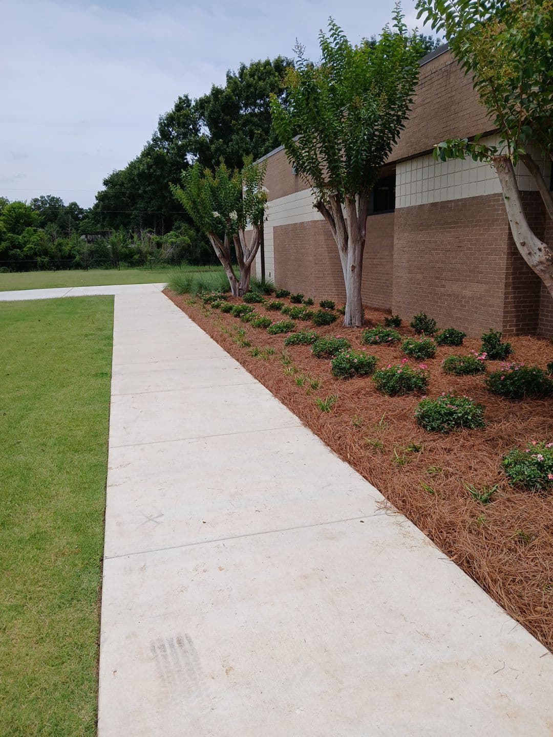 Commercial Projects - 5