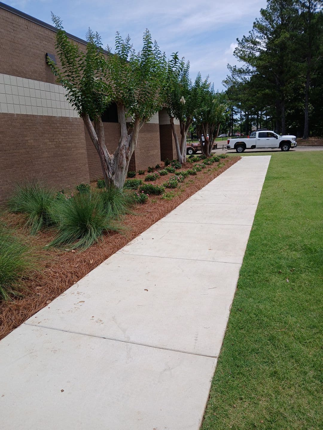 Commercial Projects - 6