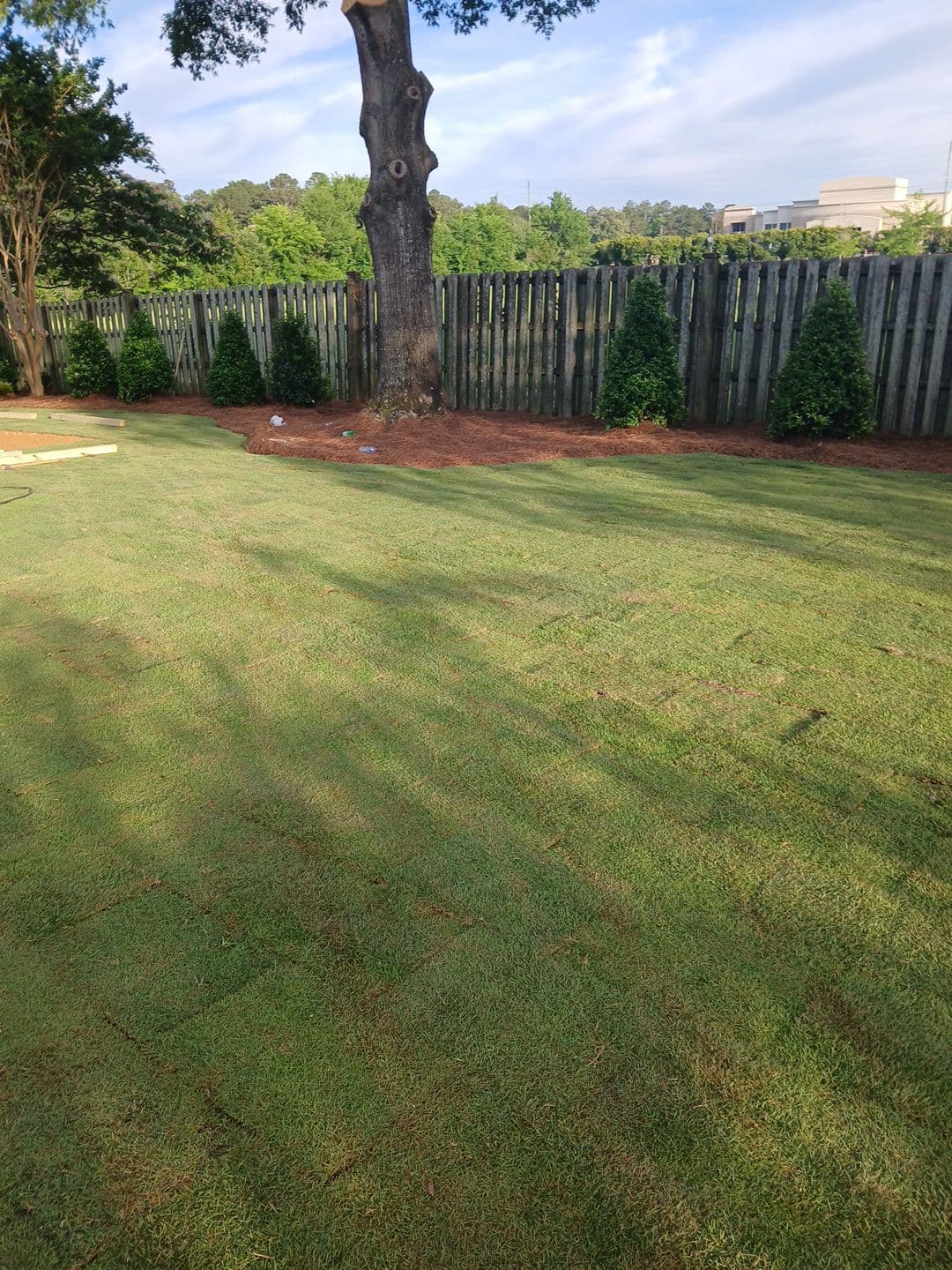 Landscape project