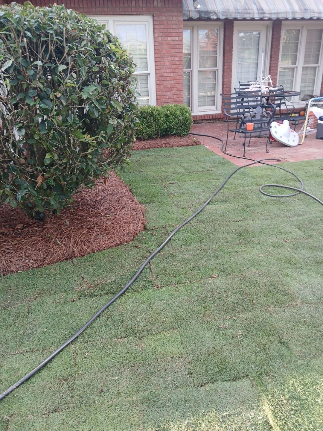 Landscape project