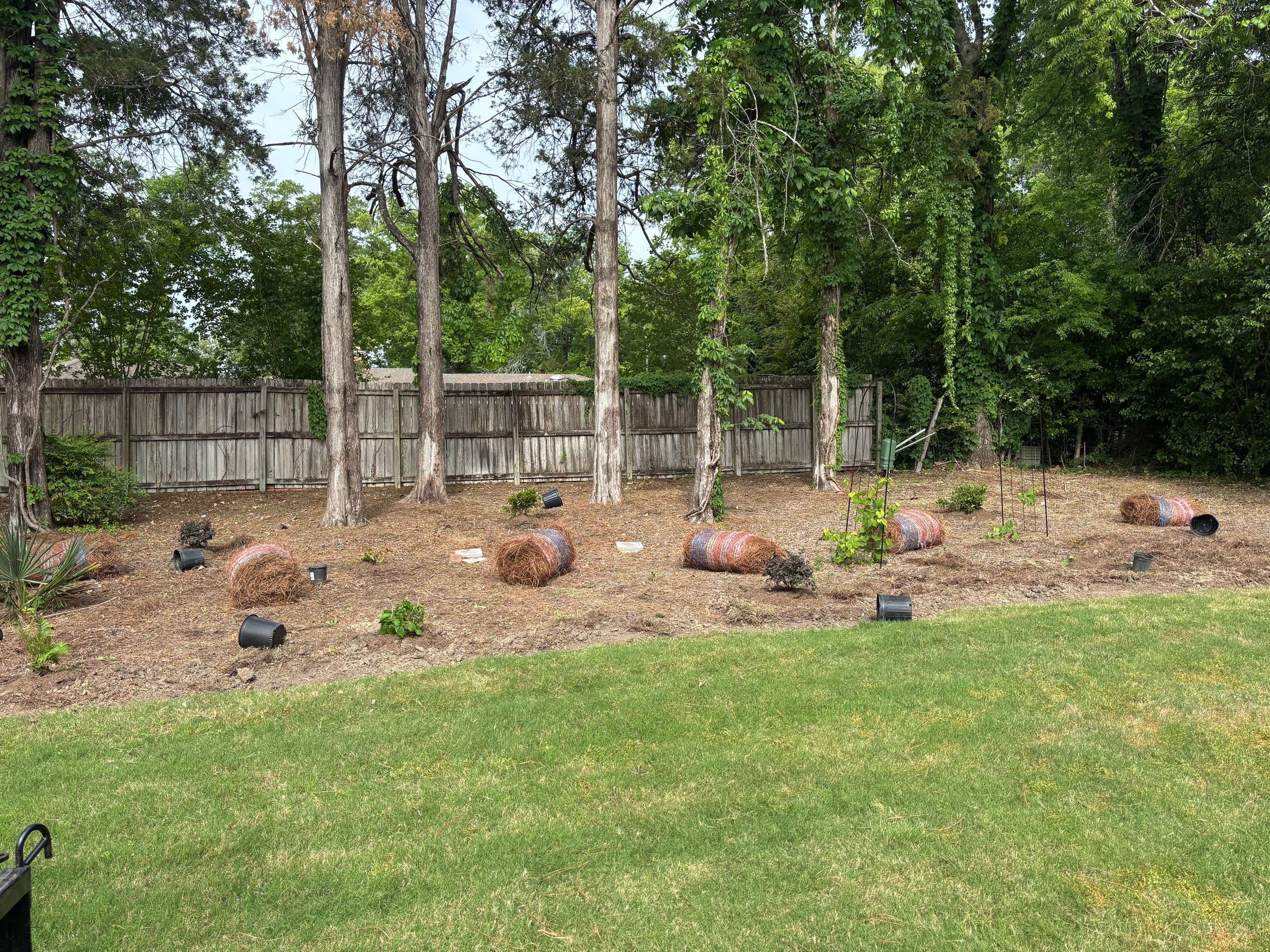 Backyard Retreats - 1
