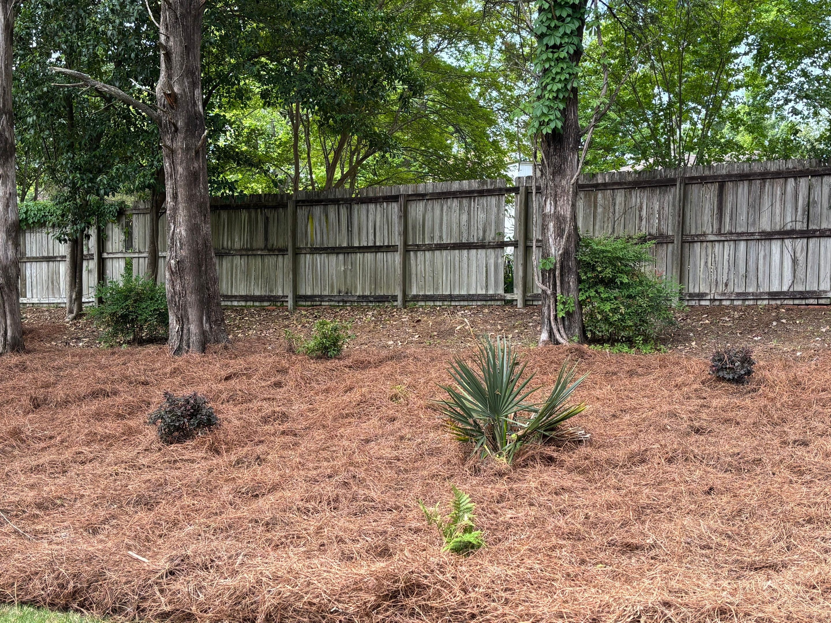 Backyard Retreats - 7