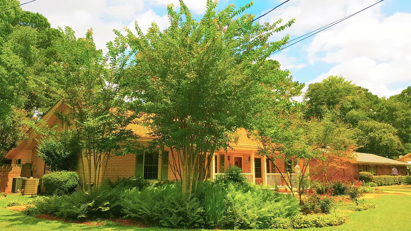 Landscape Designs 23