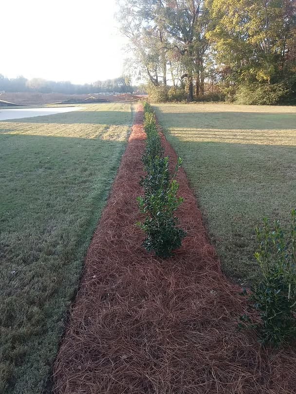 Landscape Designs 27