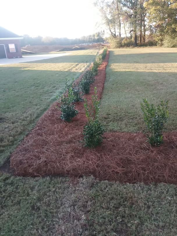 Landscape Designs 28