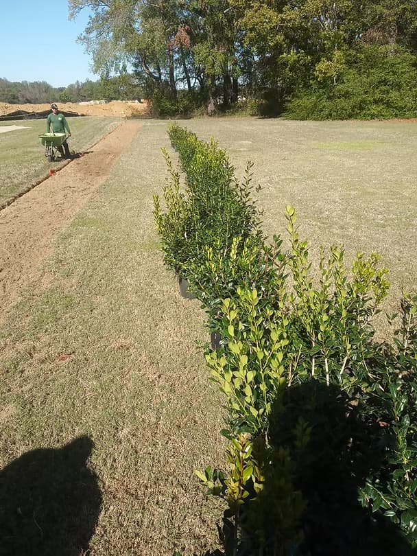 Landscape Designs 29