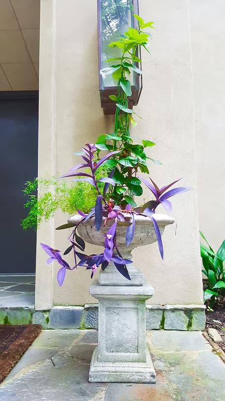 Featured landscape 5