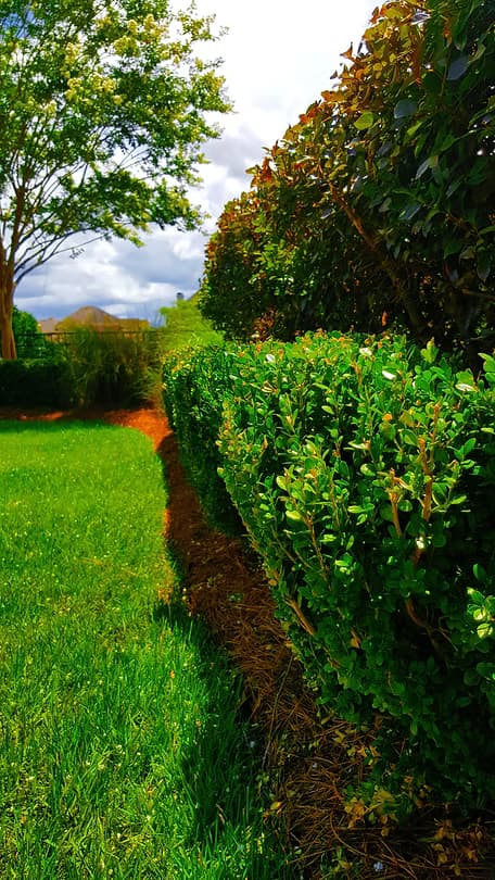 Featured landscape 7