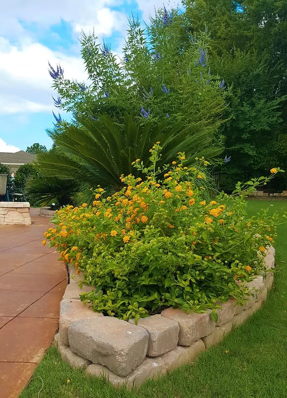 Featured landscape 6